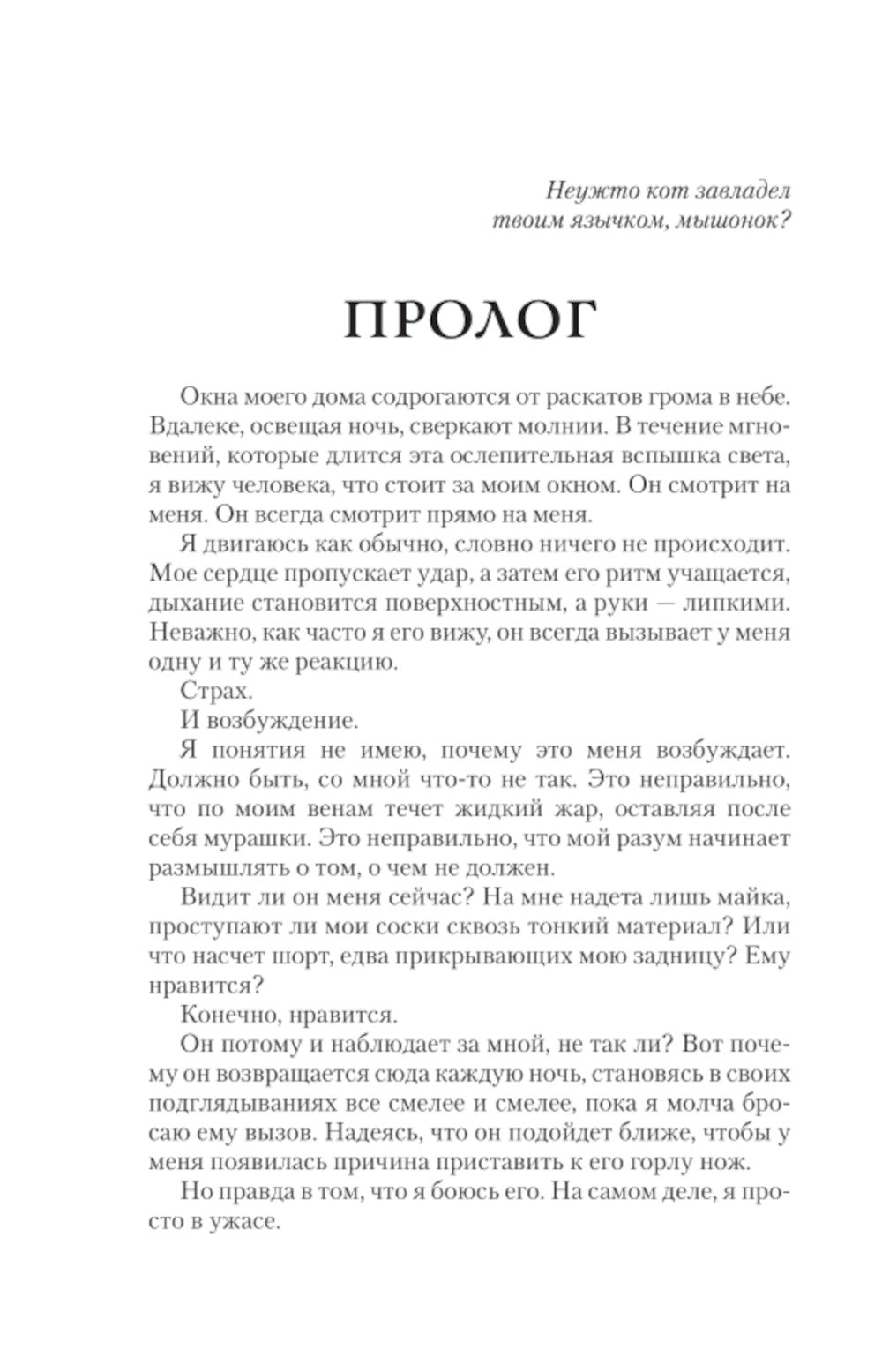 Преследуя Аделин: роман