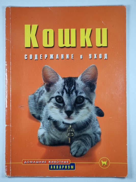 Кошки: Содержание и уход