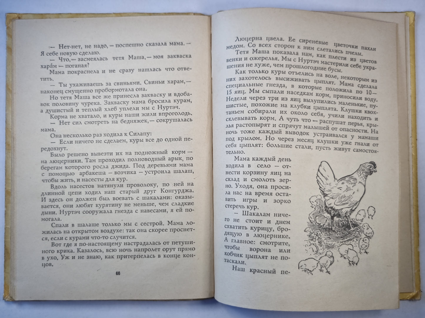 Утро моей жизни