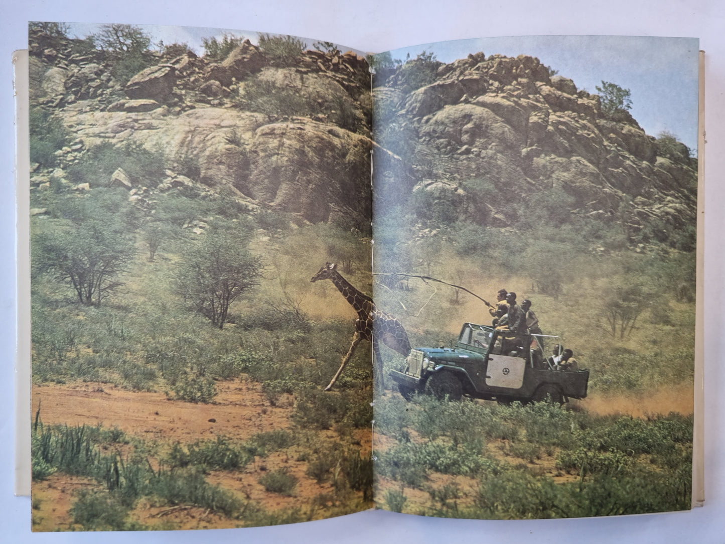 Сафари под Килиманджаро