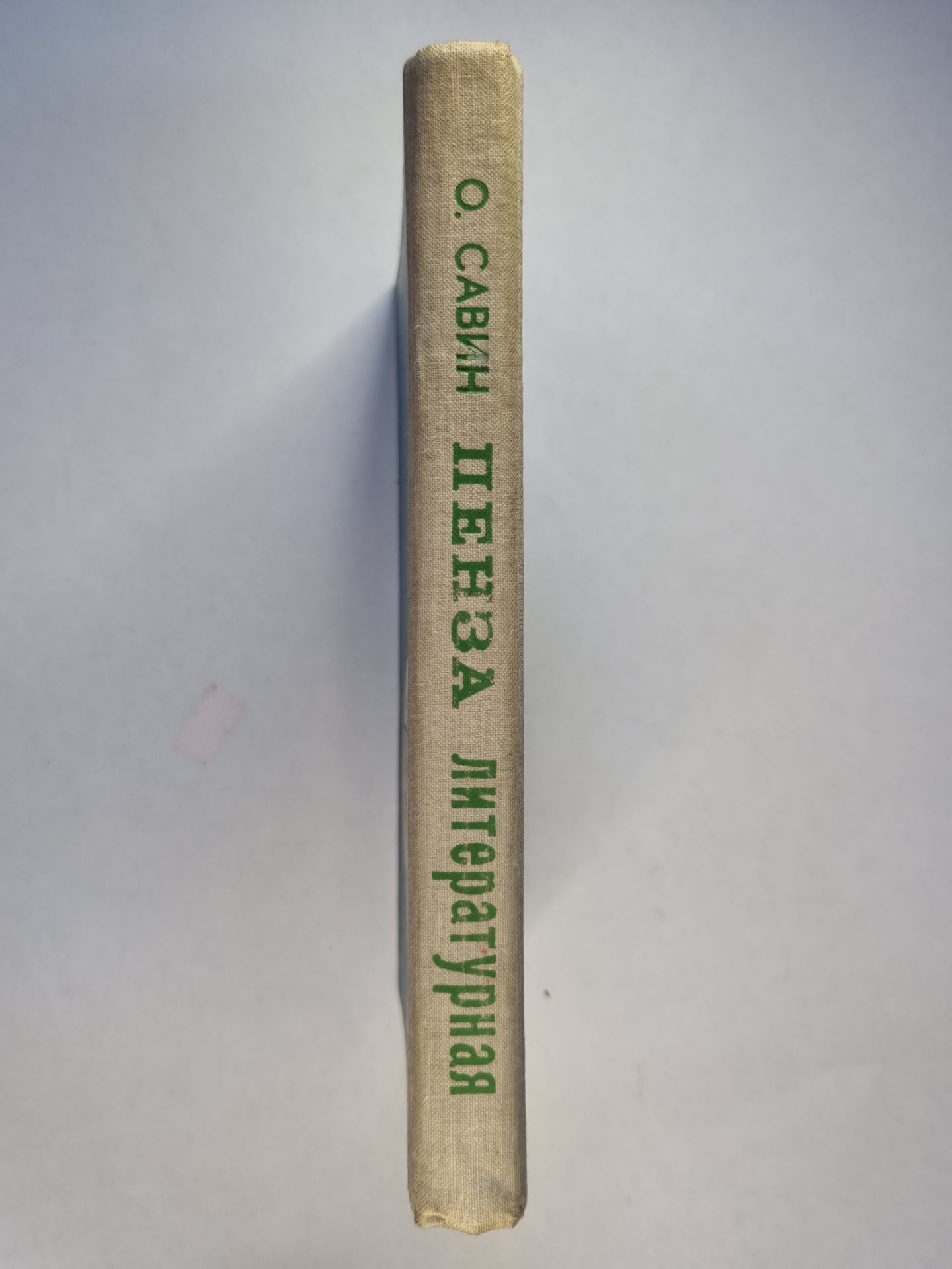 Пенза литературная