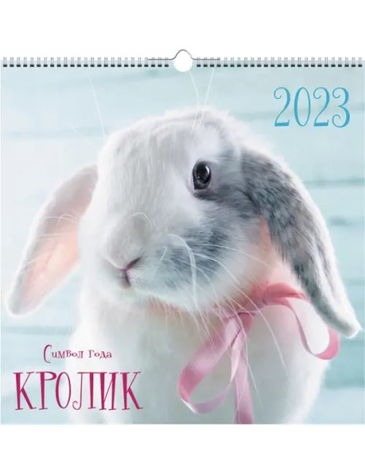 Календарь настенный перекидной на 2023 год Символ года 3