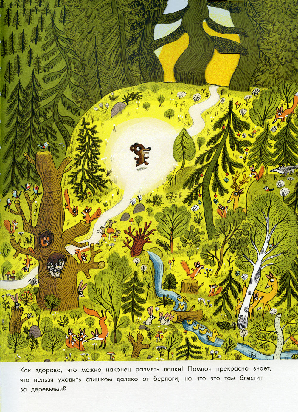 Медвежонок Помпон в цирке