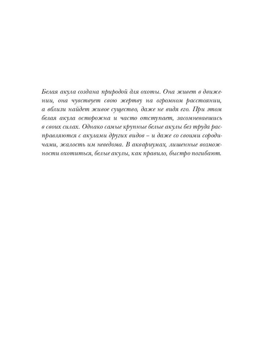 Белая акула