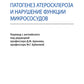 Патогенез атеросклероза и нарушение функции микрососудов