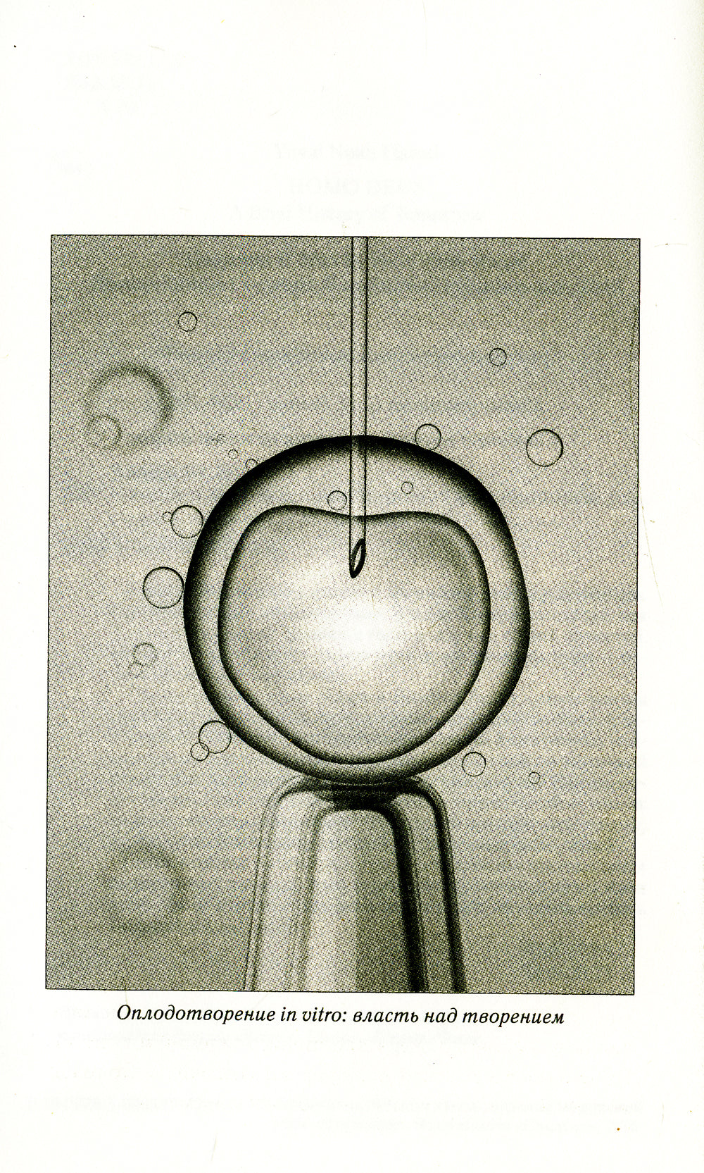 Homo Deus. Краткая история будущего