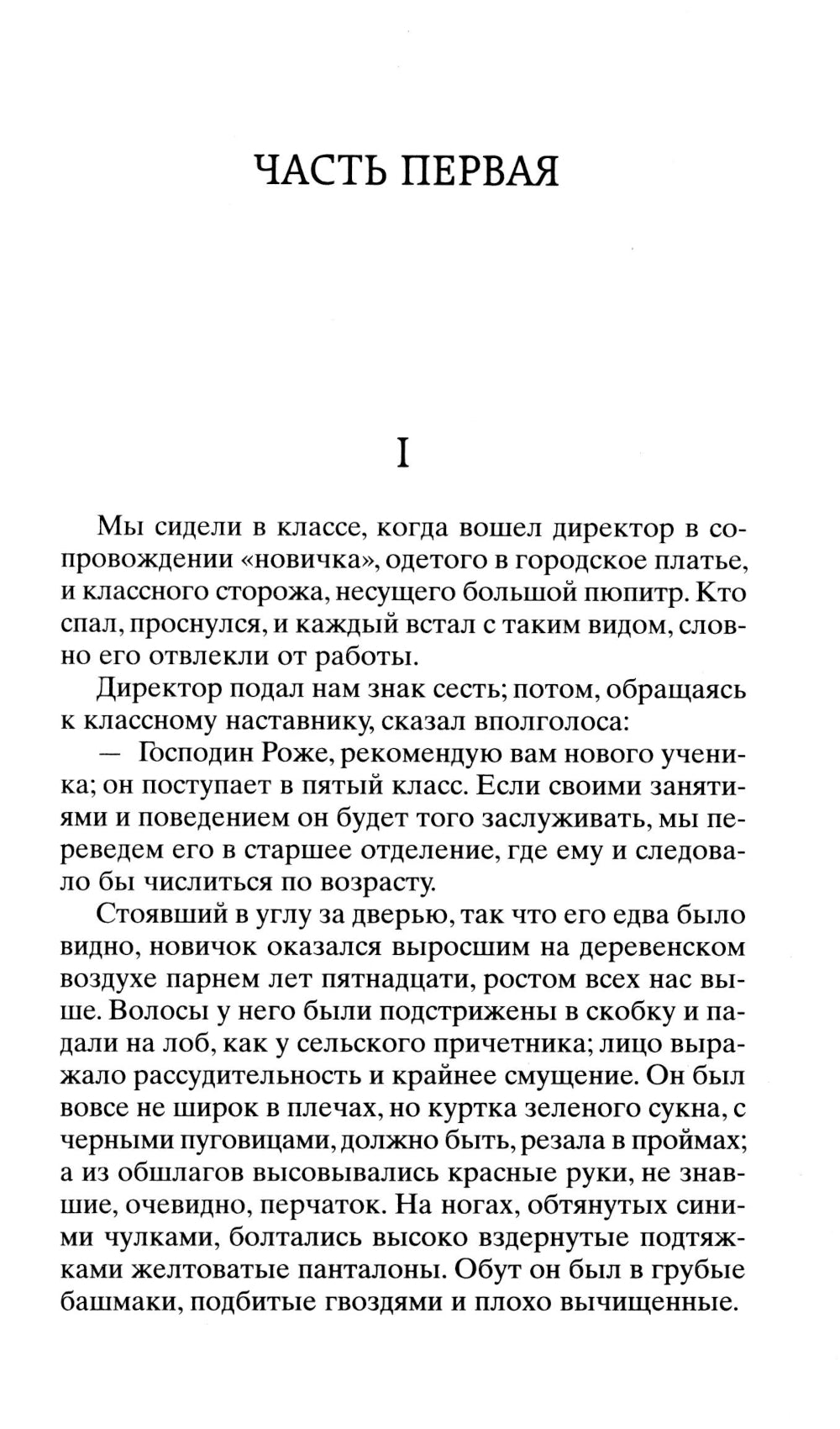 Госпожа Бовари: роман