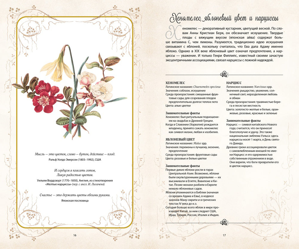 Тайный язык цветов