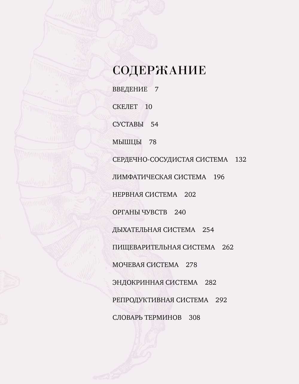 Анатомия. С иллюстрациями из классической "Анатомии Грея"