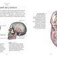 Анатомия. С иллюстрациями из классической "Анатомии Грея"