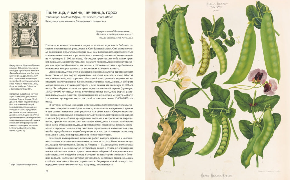 Выдающиеся растения, изменившие нашу жизнь