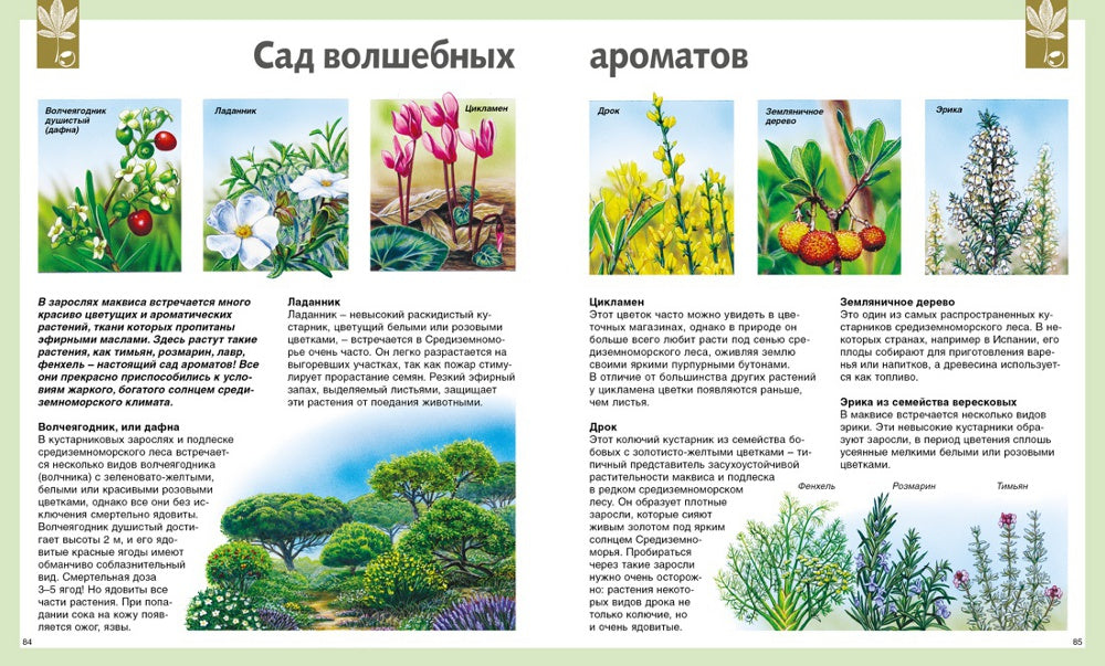 Enseignement scolaire universel