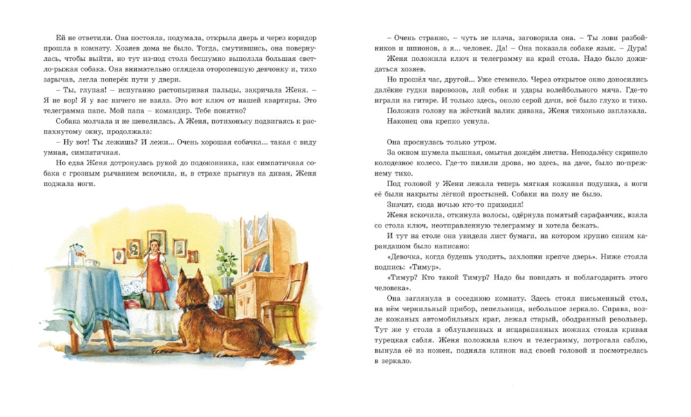 Тимур и его команда: повесть