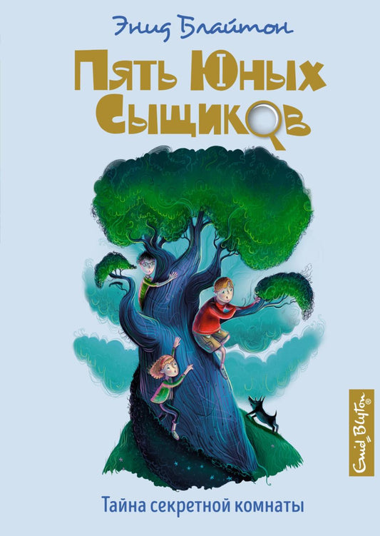 Тайна секретной комнаты