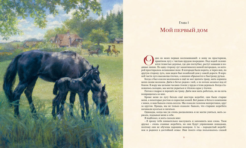 Черный Красавчик: повесть