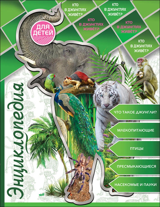 Qu'en est-il des jeunes? Encyclopédie pour bébé