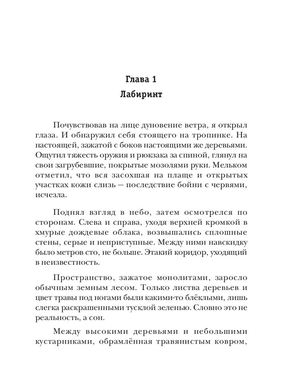 АСКЕТ. Кн. 2: Лимб