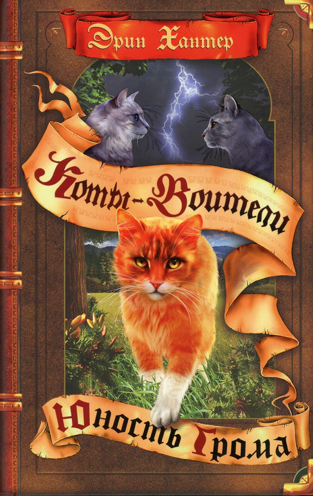 Коты-воители. Юность Грома