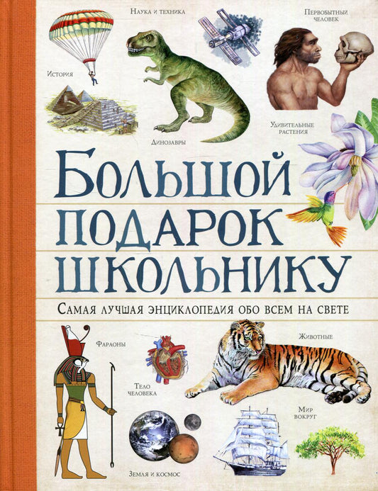 Большой подарок школьнику