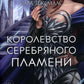 Королевство серебряного пламени: роман
