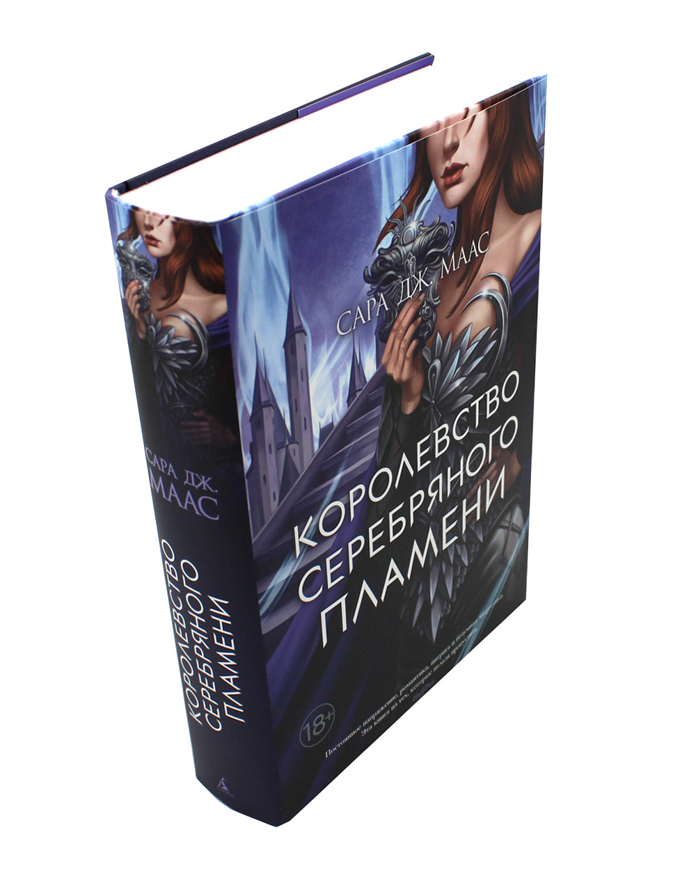 Королевство серебряного пламени: роман