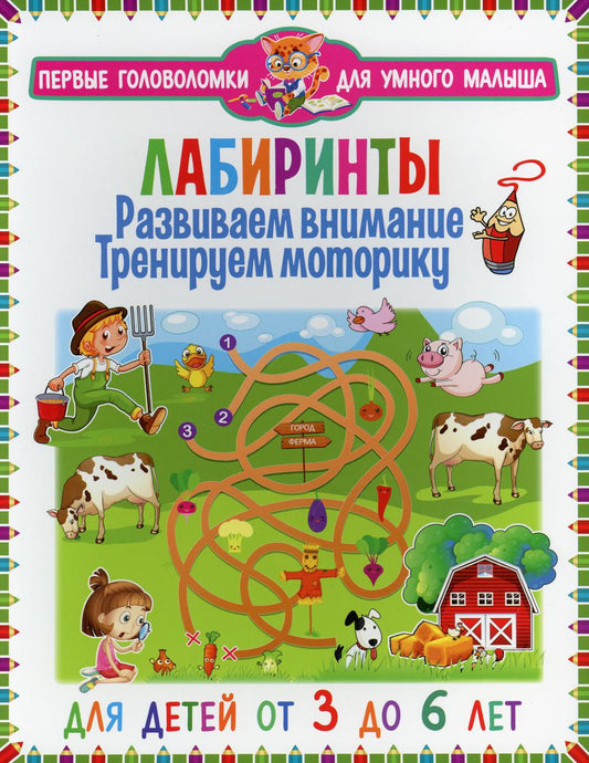 Лабиринты. Развиваем внимание, тренируем моторику. Pour les enfants de 3 à 6 ans