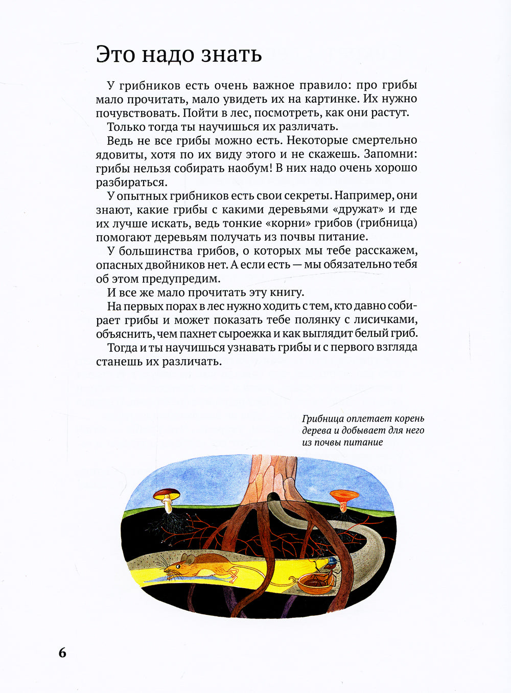 Софи в мире грибов