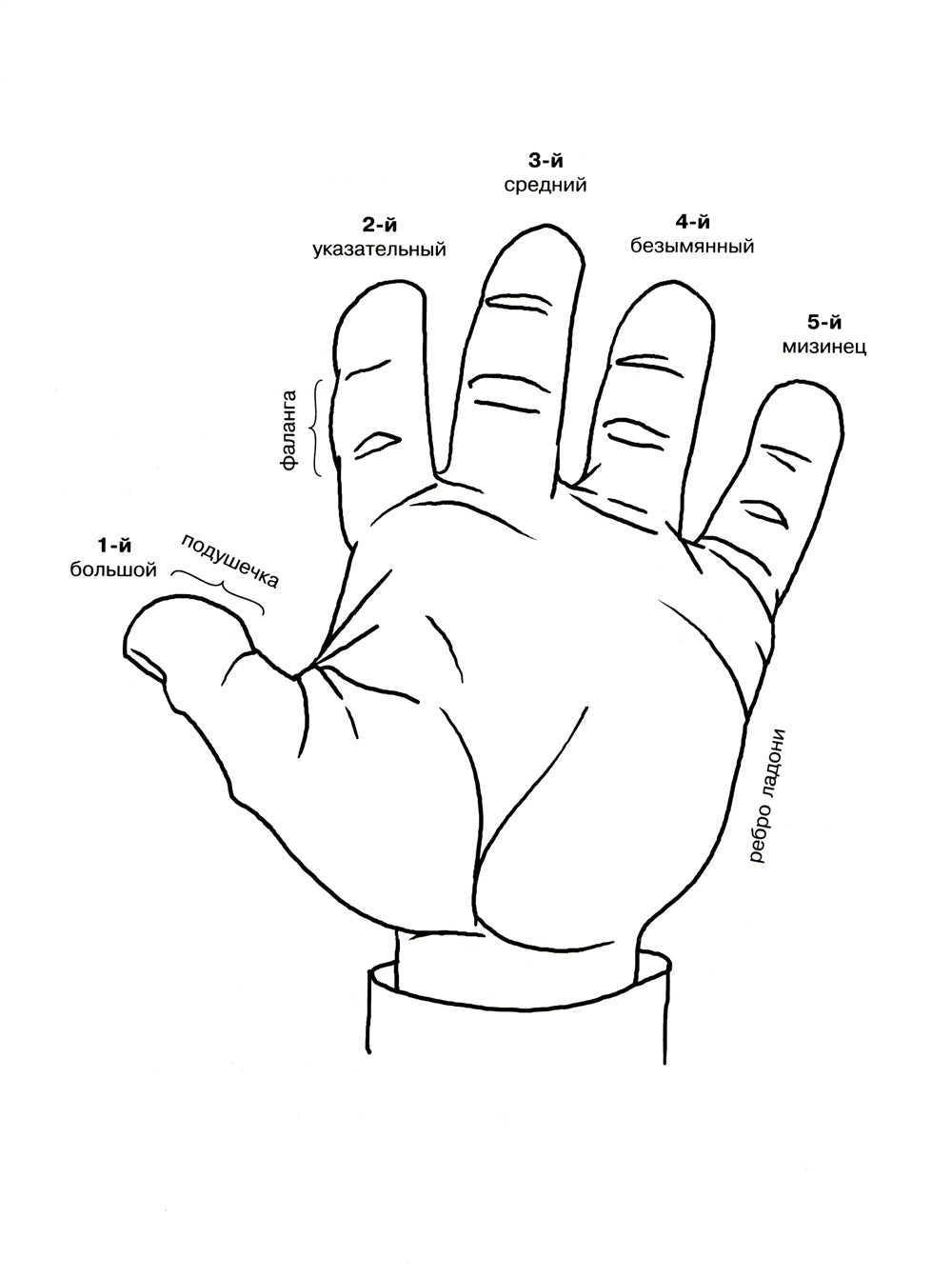 Jeux à palettes pour enfants de 4 à 7 ans
