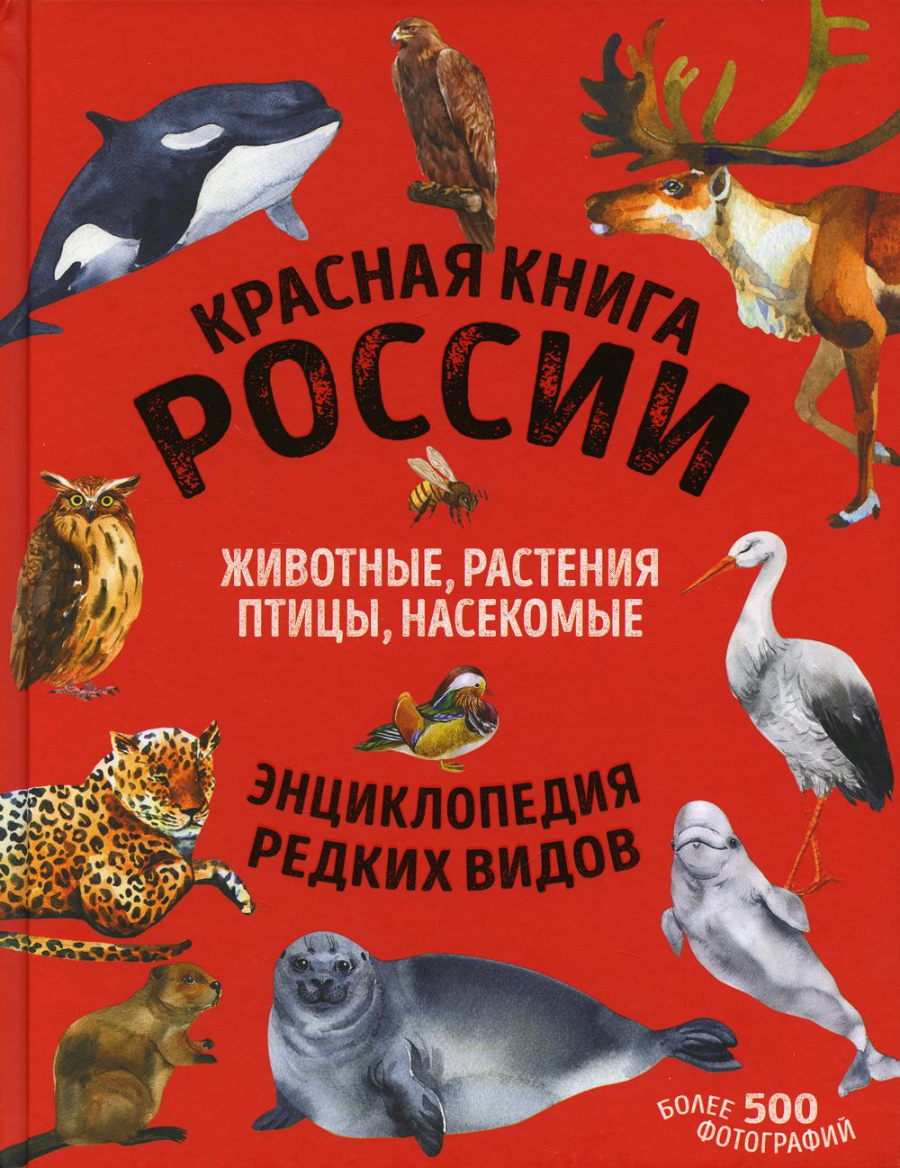 Красная книга России: все о жизни дикой природы