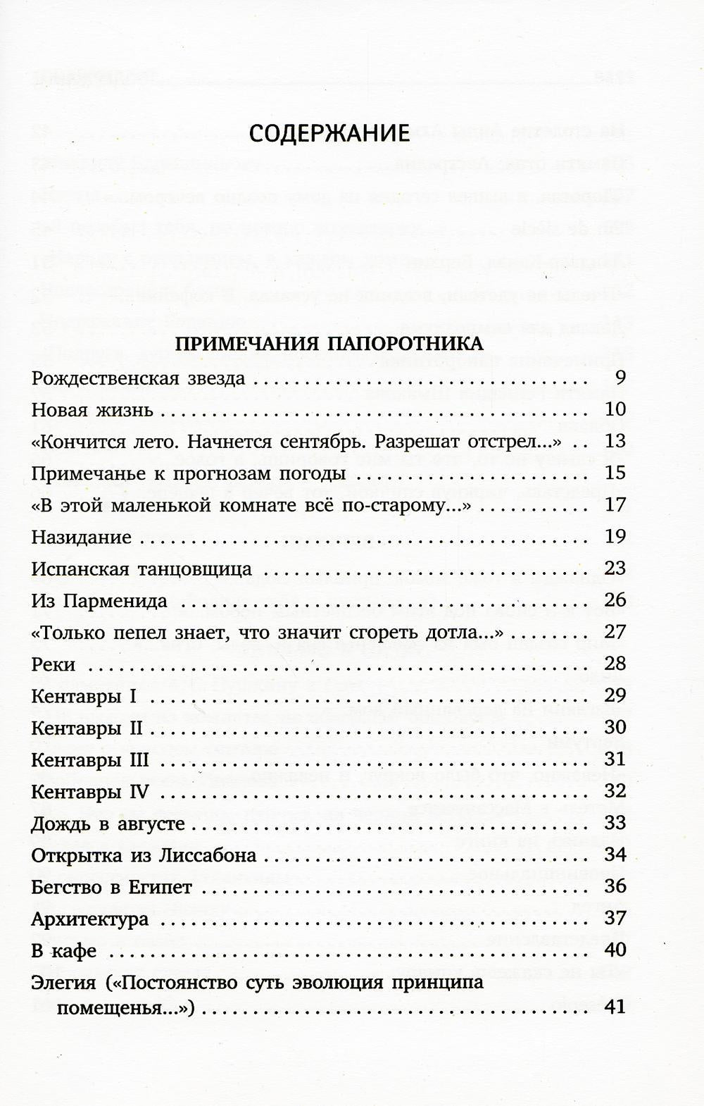 Пейзаж с наводнением: стихотворения