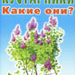 Кустарники. Какие они? Книга для воспитателей, гувернеров и родителей