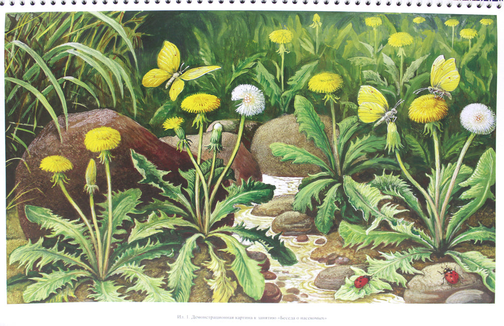 Добро пожаловать в экологию. Демонстрационные картины и динамические модели для занятий с детьми 4-5 лет (средняя группа). ФГОС.