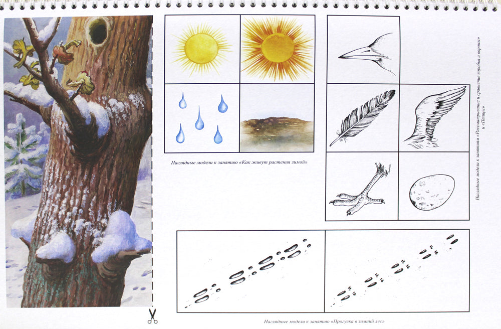 Добро пожаловать в экологию. Демонстрационные картины и динамические модели для занятий с детьми 4-5 лет (средняя группа). ФГОС.