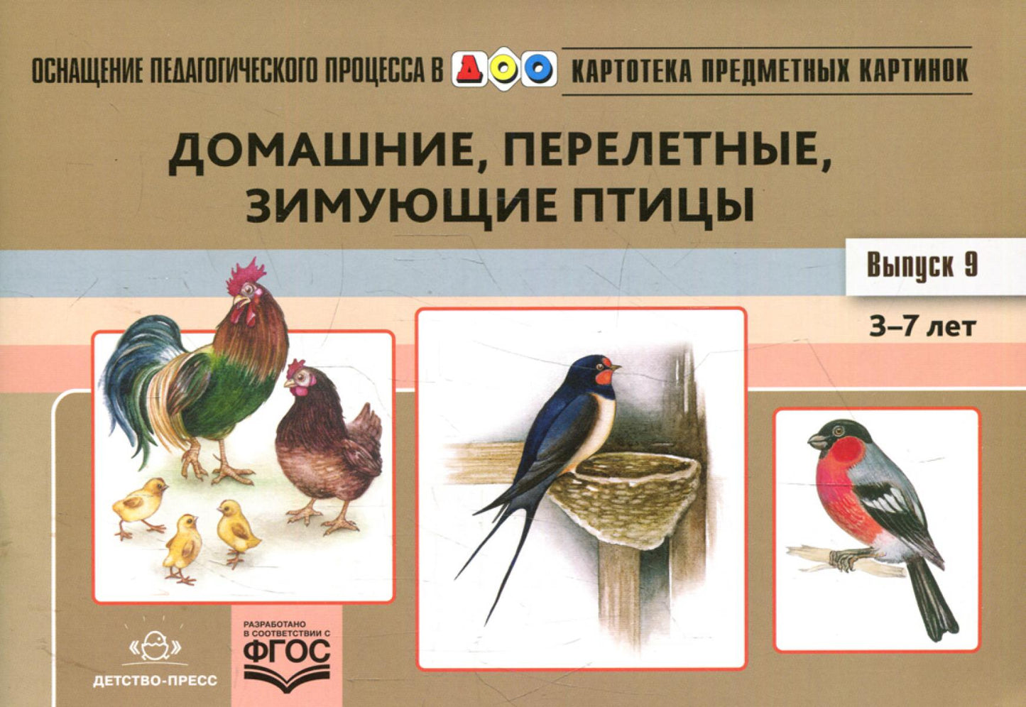 Carte pré-emballée. Oui. 9 : Домашние, перелетные, зимующие птицы. 3-7 lettres : matériel didactique approprié