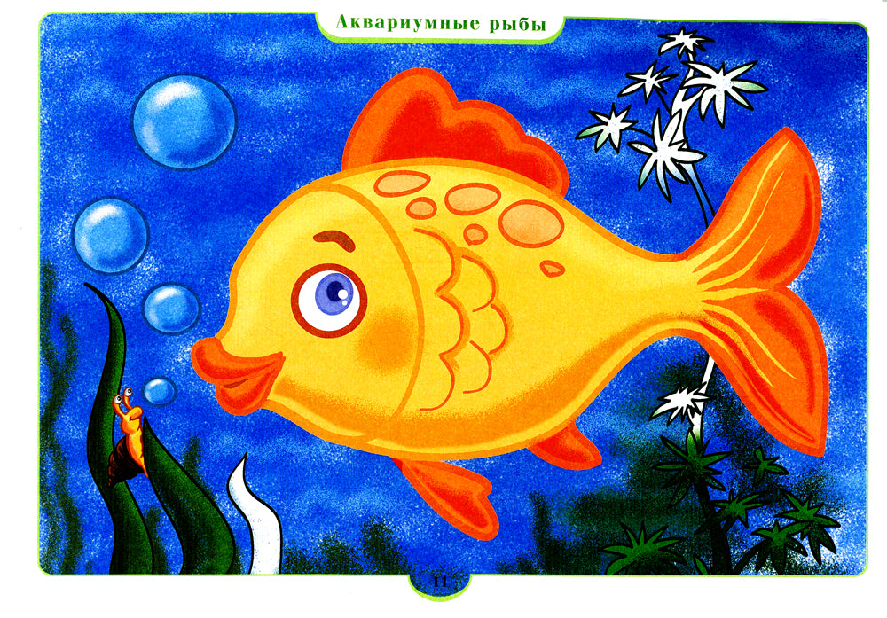 Занимательная экоLOGия. Рабочая тетрадь для детей среднего дошкольного возраста. (de 4 à 5 lettres)