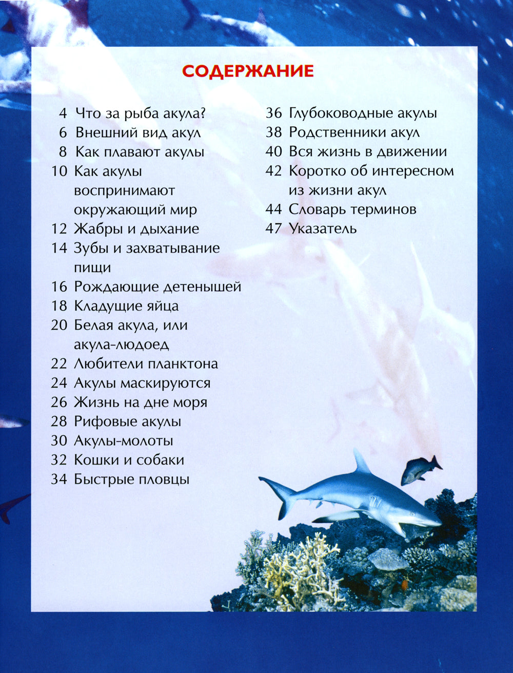 Акулы. Детская энциклопедия