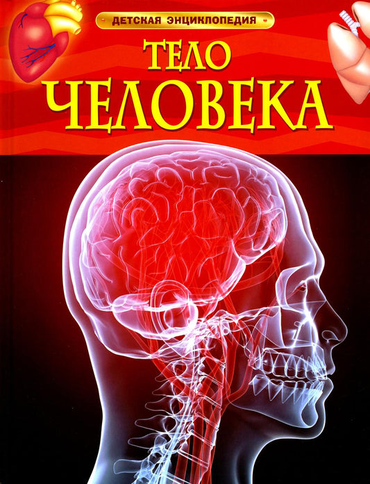 Тело человека. Детская энциклопедия