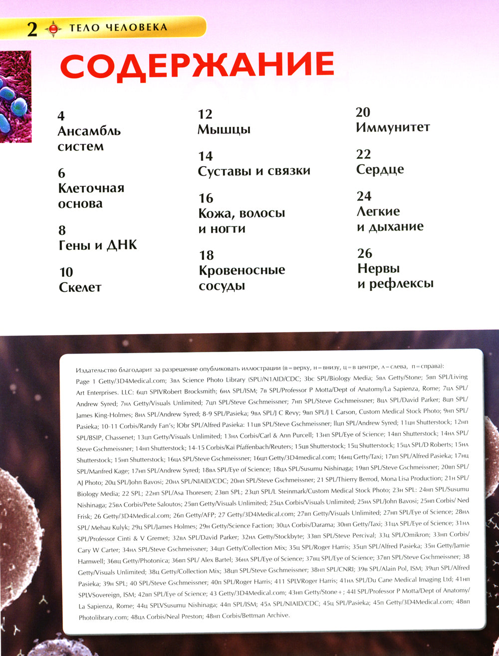 Тело человека. Детская энциклопедия