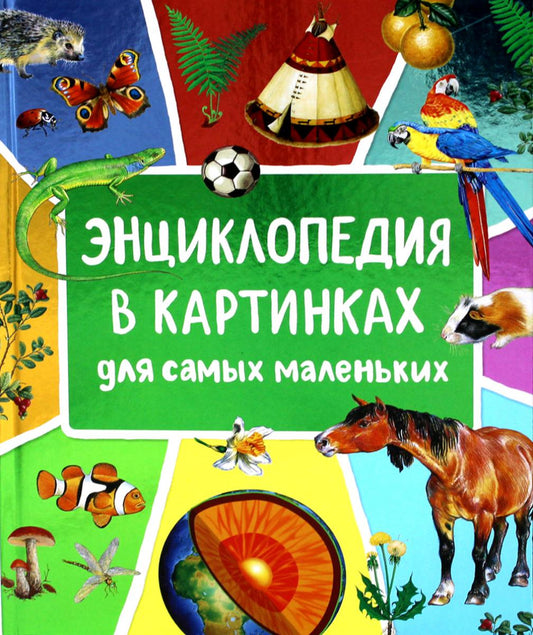 Encyclopédie des cartes pour les petits enfants