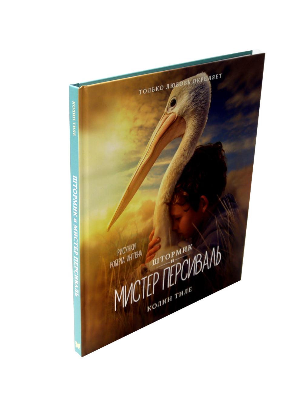Штормик и мистер Персиваль: повесть