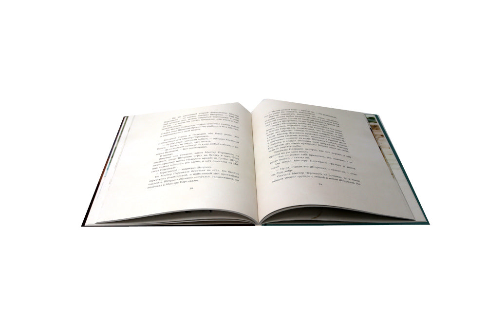 Штормик и мистер Персиваль: повесть