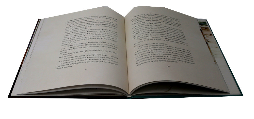 Штормик и мистер Персиваль: повесть