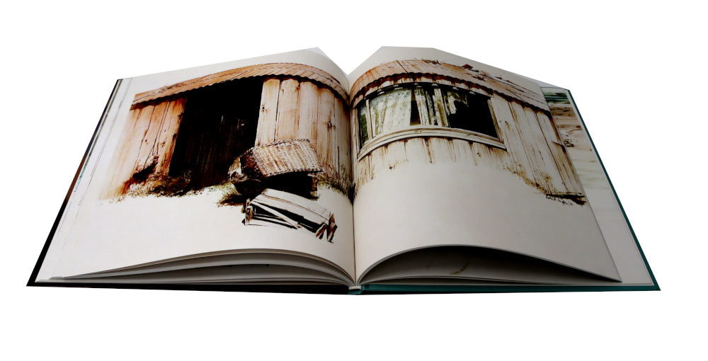 Штормик и мистер Персиваль: повесть