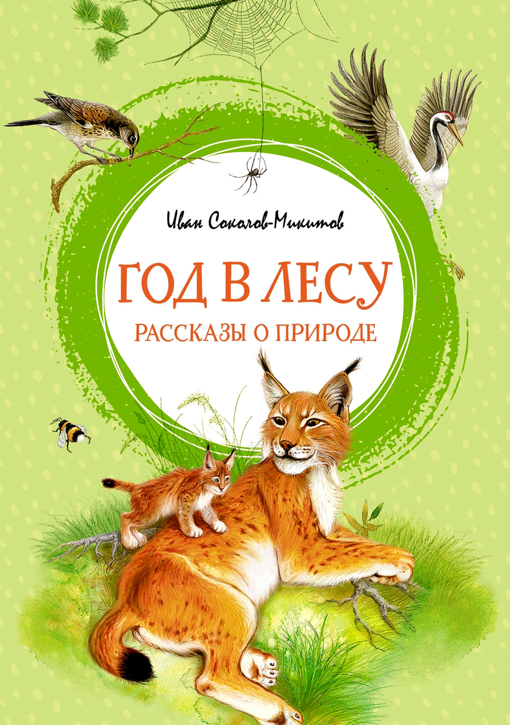 Год в лесу: рассказы о природе