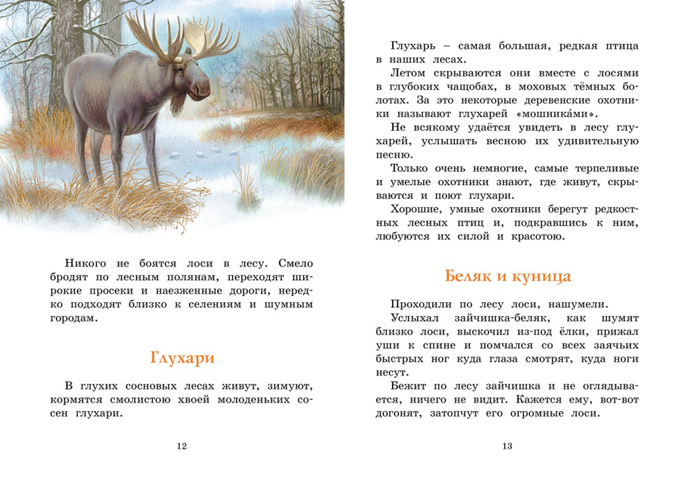 Год в лесу: рассказы о природе