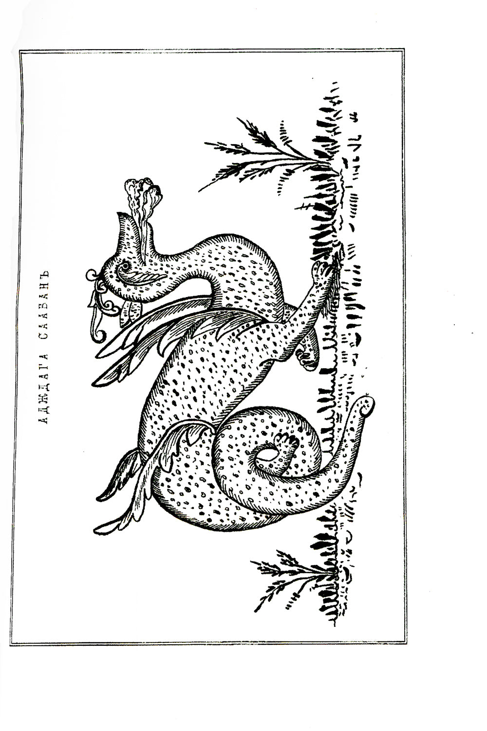 Сказки сартов в английском изложении