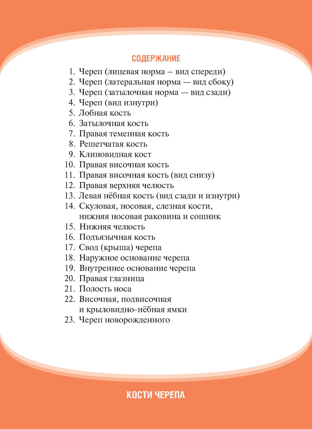 Анатомия человека. Кости черепа. Cartes + Colis pour les pièces de cartes : pour une utilisation quotidienne
