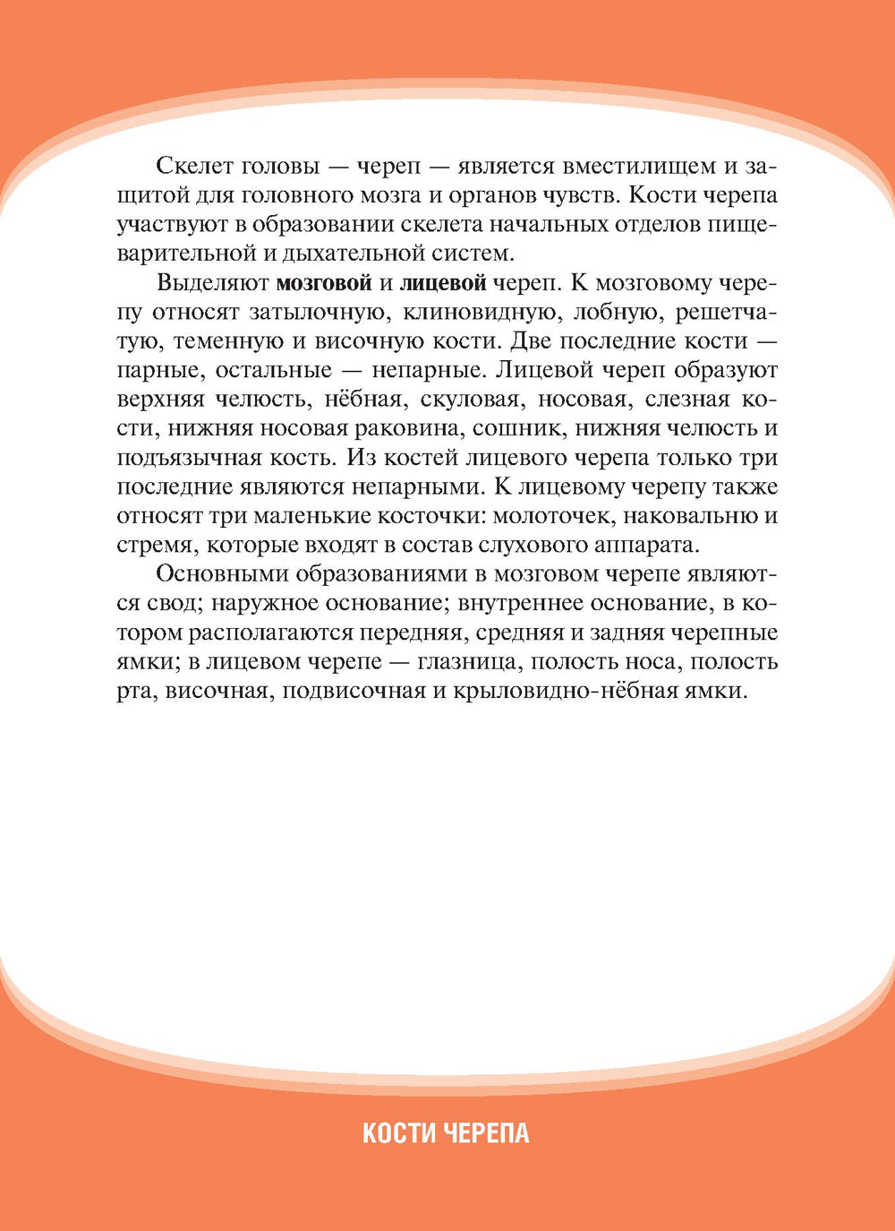 Анатомия человека. Кости черепа. Cartes + Colis pour les pièces de cartes : pour une utilisation quotidienne