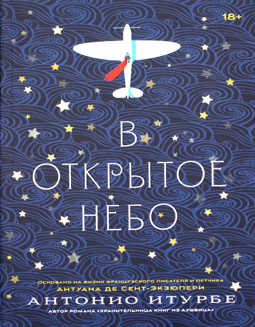 В открытом небе: роман