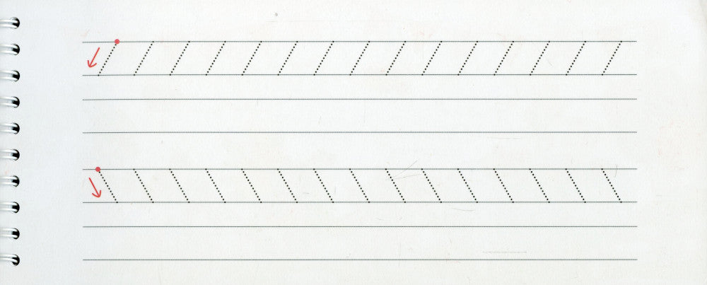 Многоразовые прописи на пружинке. 4+ Лесные приключения